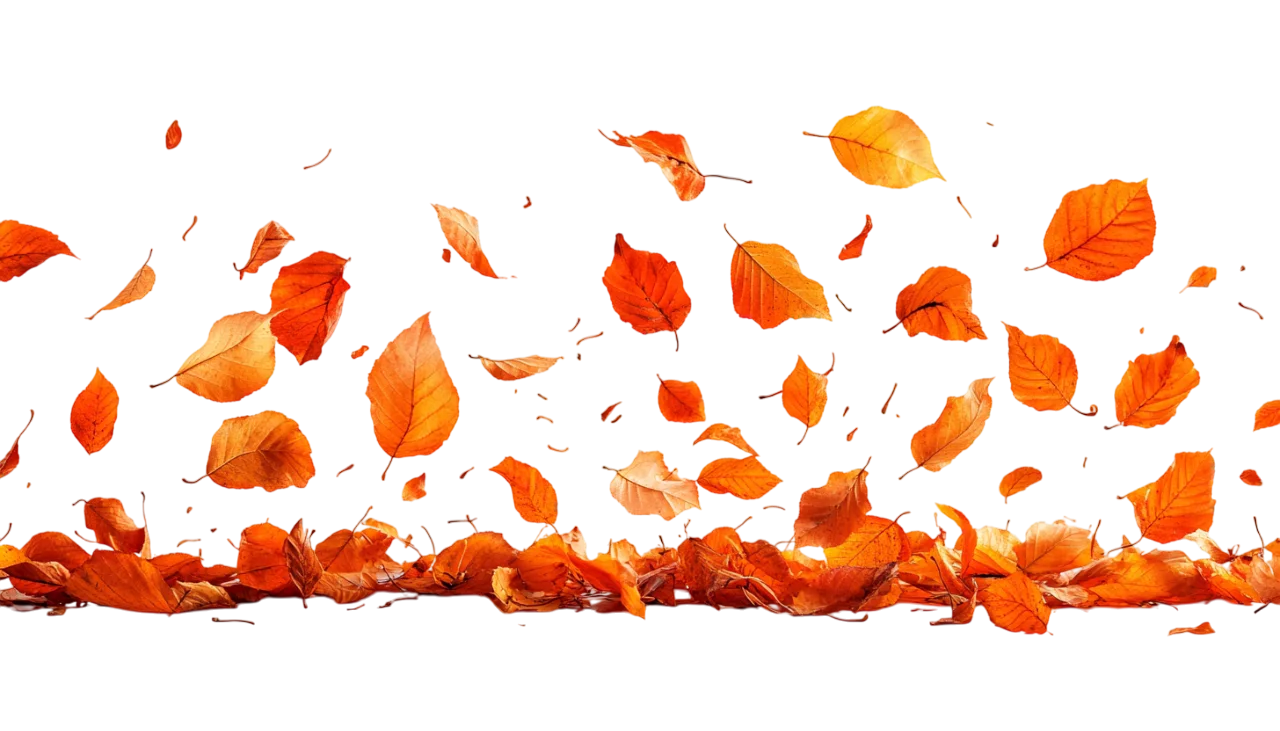 Autumn Leaves Falling on Ground Border Free PNG