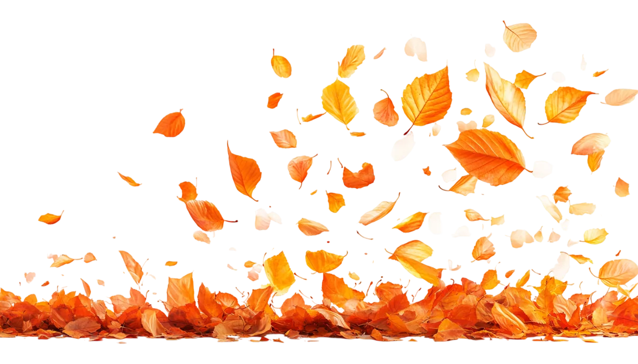 Falling Fall Foliage Leaves Ground Free PNG Cutout