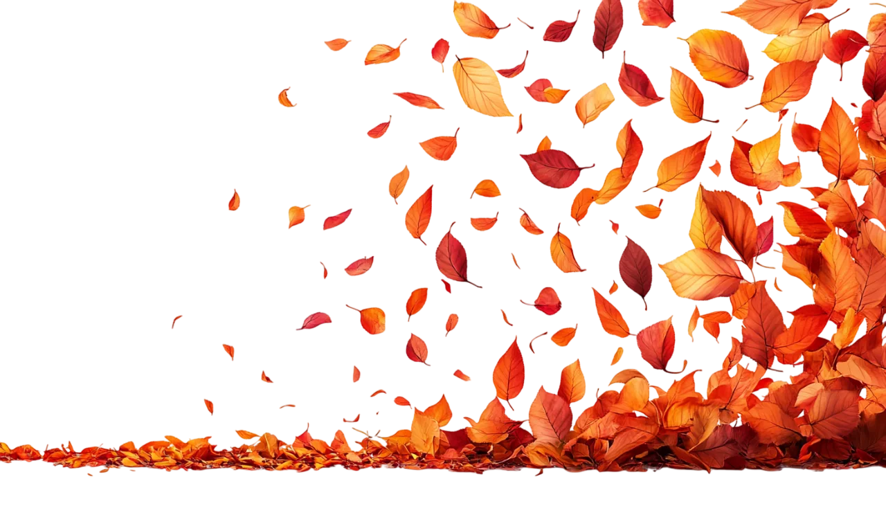 Falling Autumn Leaves Border Frame Free PNG Cutout