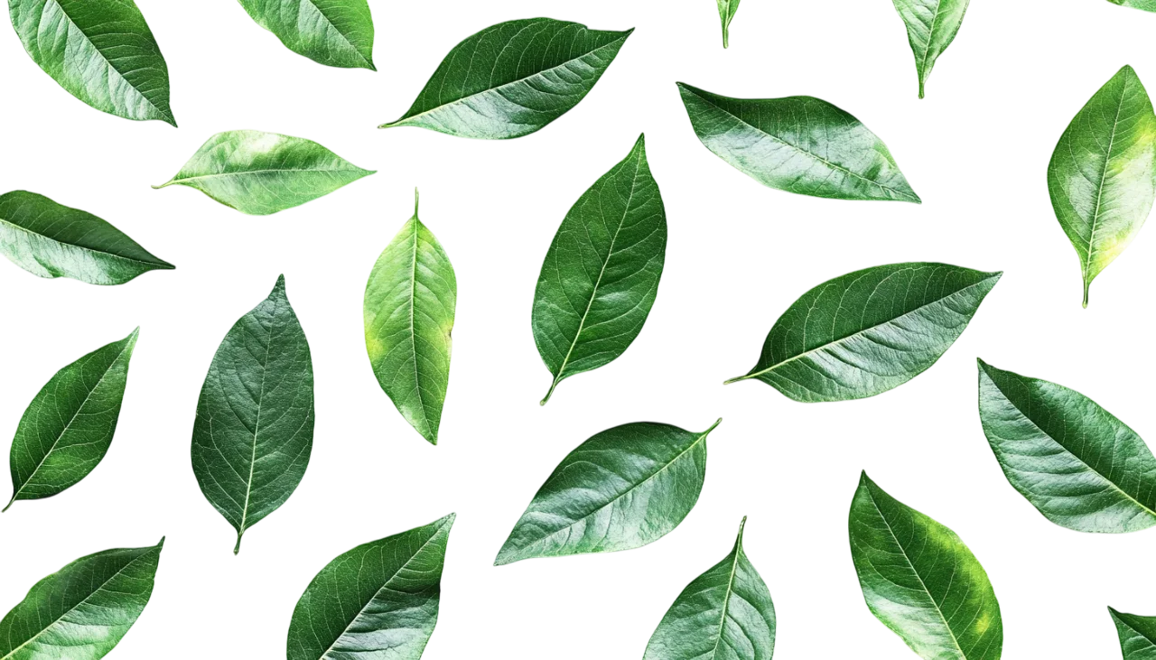 Falling Green Leaves Swirl Pattern Free PNG Cutout