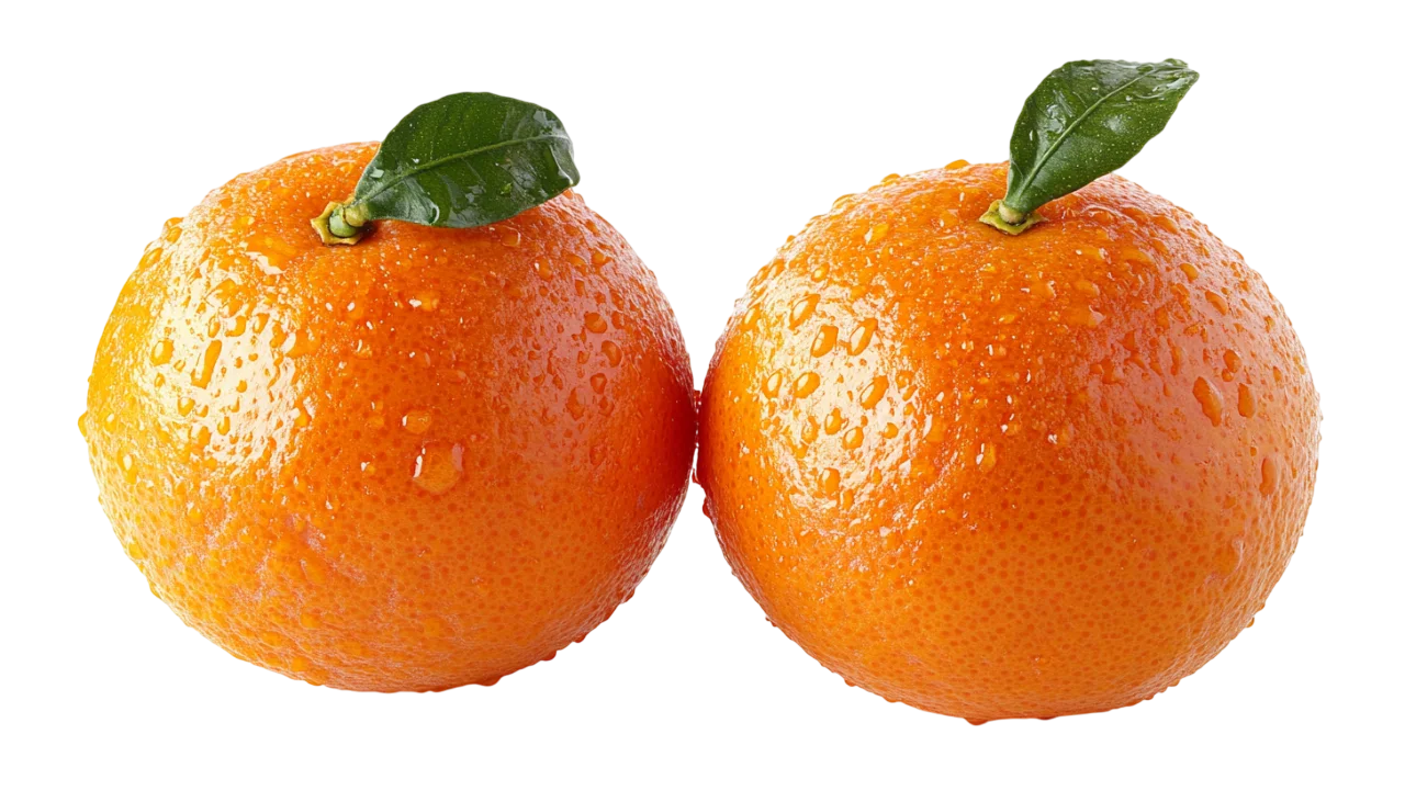 Fresh Whole Mandarin Oranges Pair Free PNG