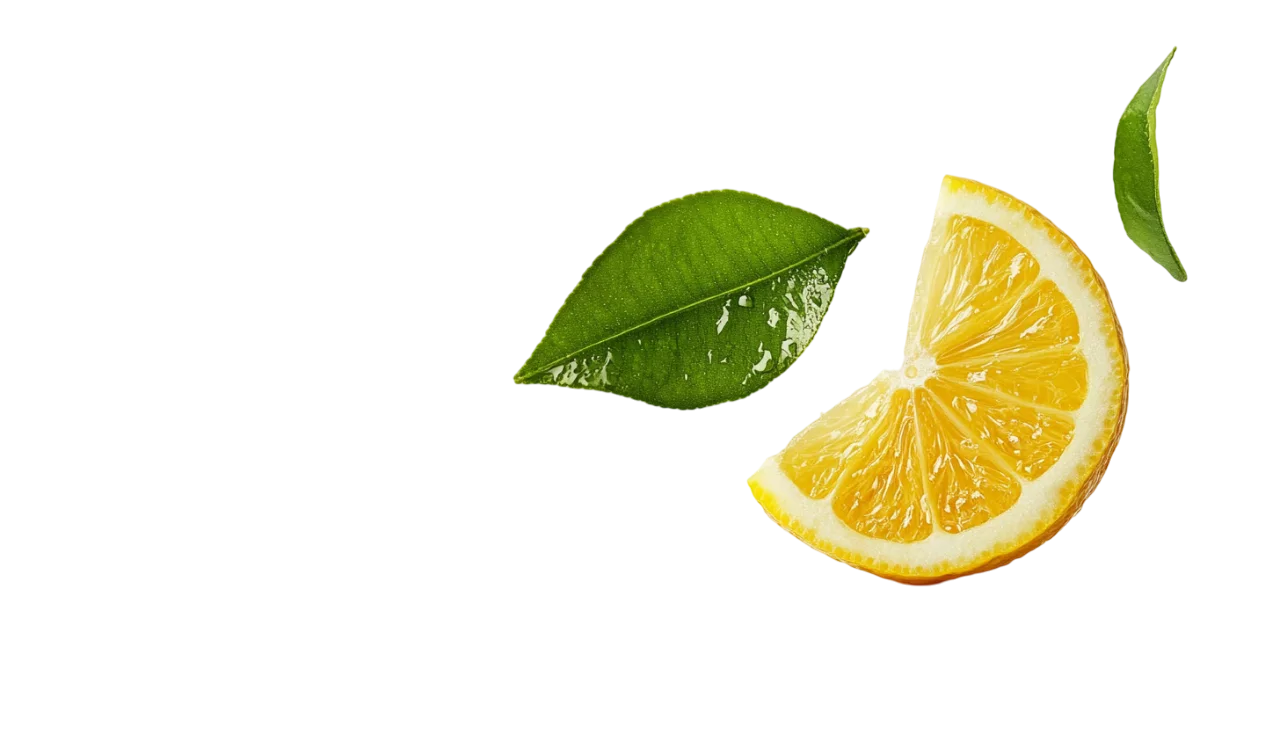 Citrus Wedge Slice with Green Leaf Free PNG