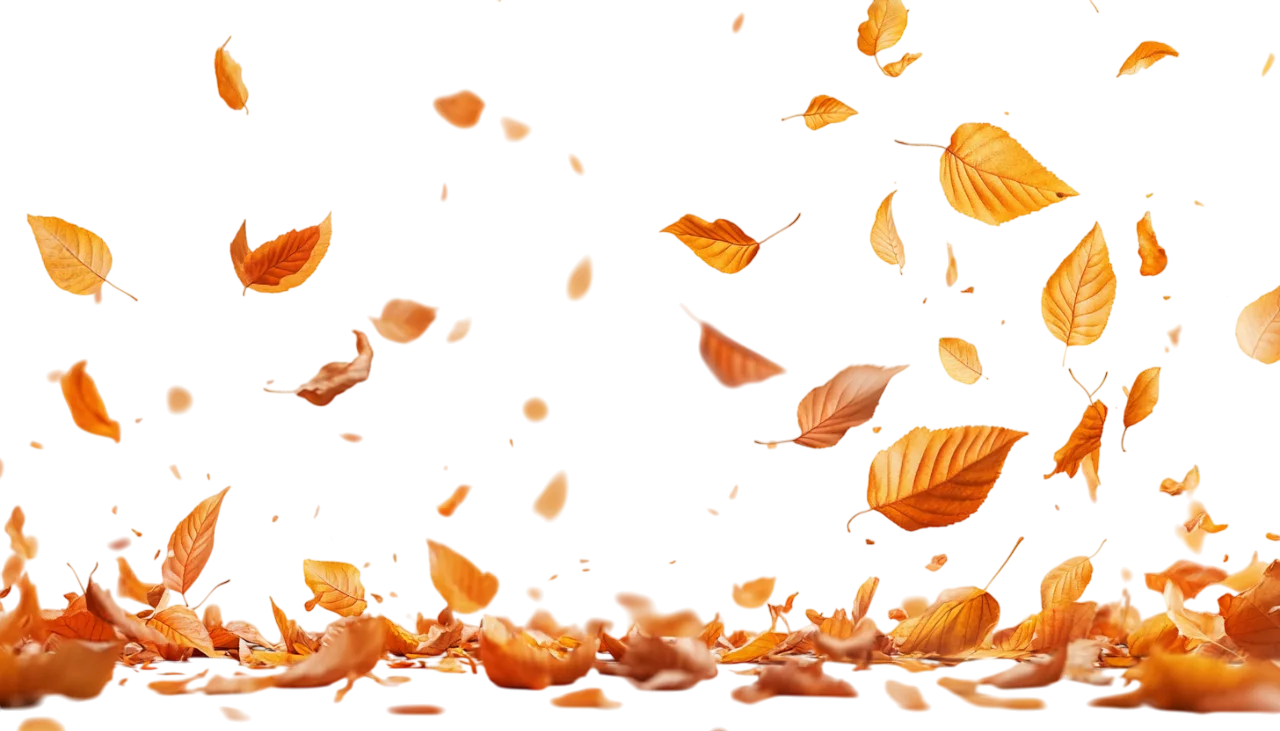 Swirling Fall Orange Leaves Border Free PNG Cutout