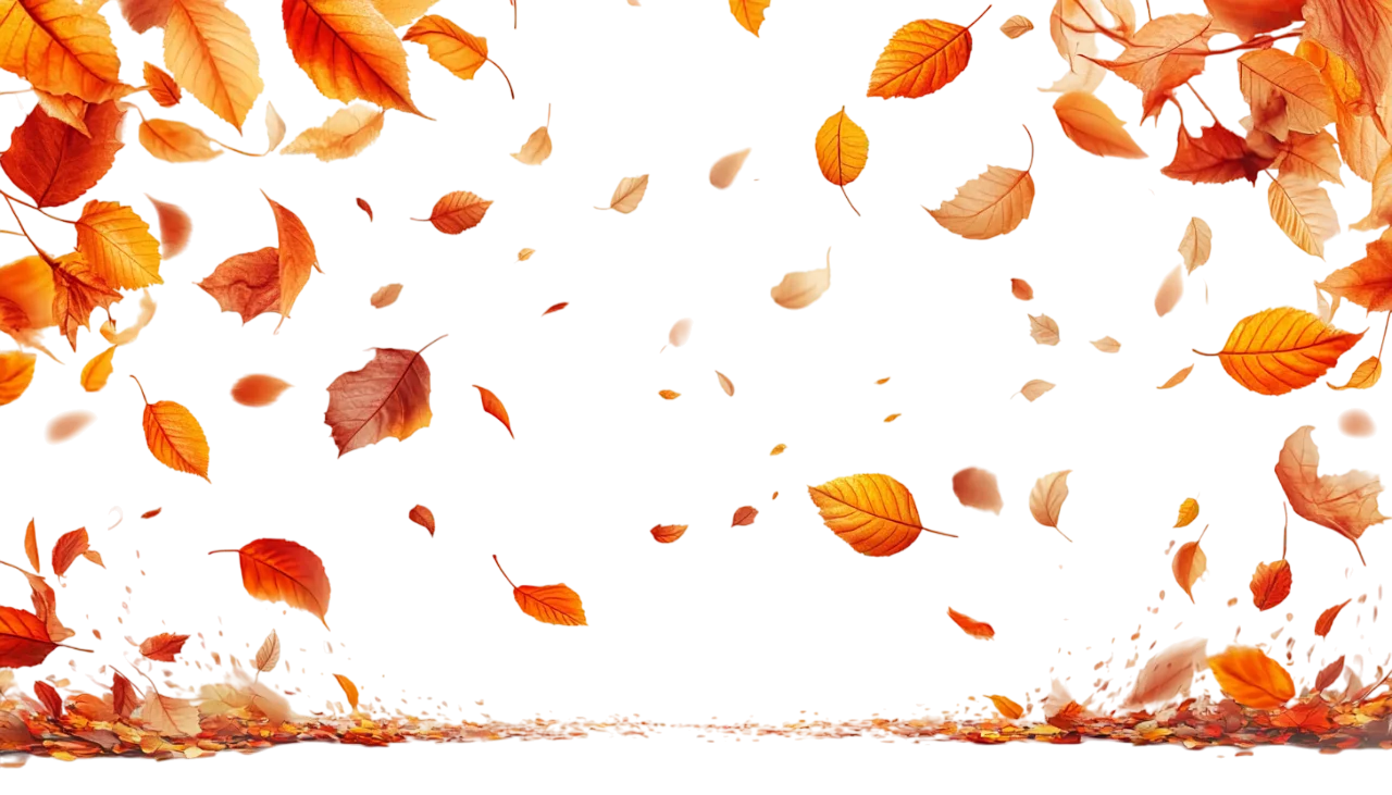Falling Fall Foliage Leaves Border Free PNG Cutout