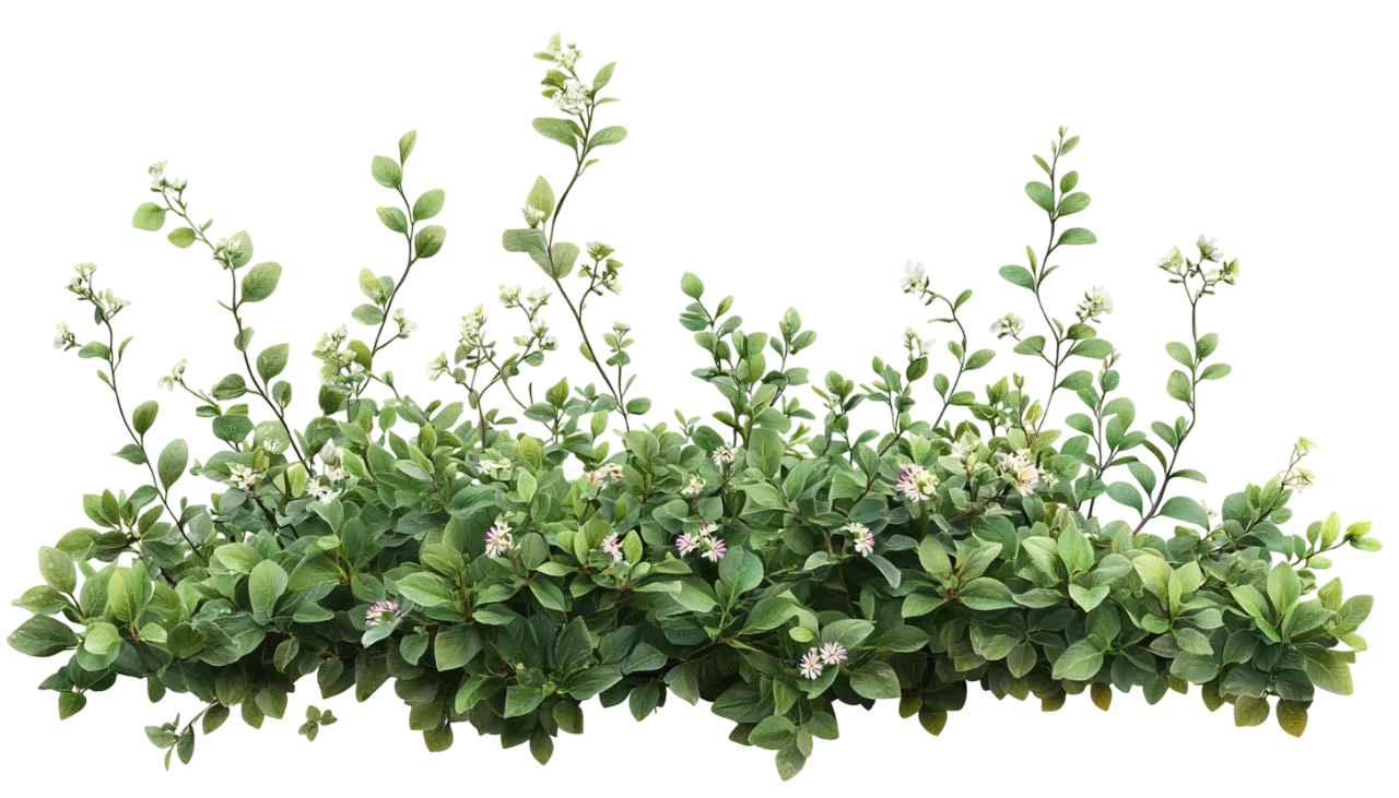 Green Garden Bush Foliage Hedge Free PNG Cutout