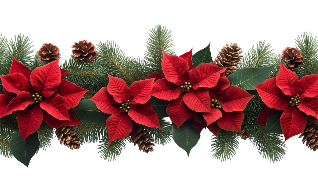 Lush Red Poinsettia and Pine Needle Garland Free PNG