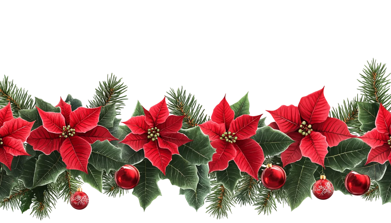 Holiday Poinsettia Flower and Pine Swag Border Free PNG