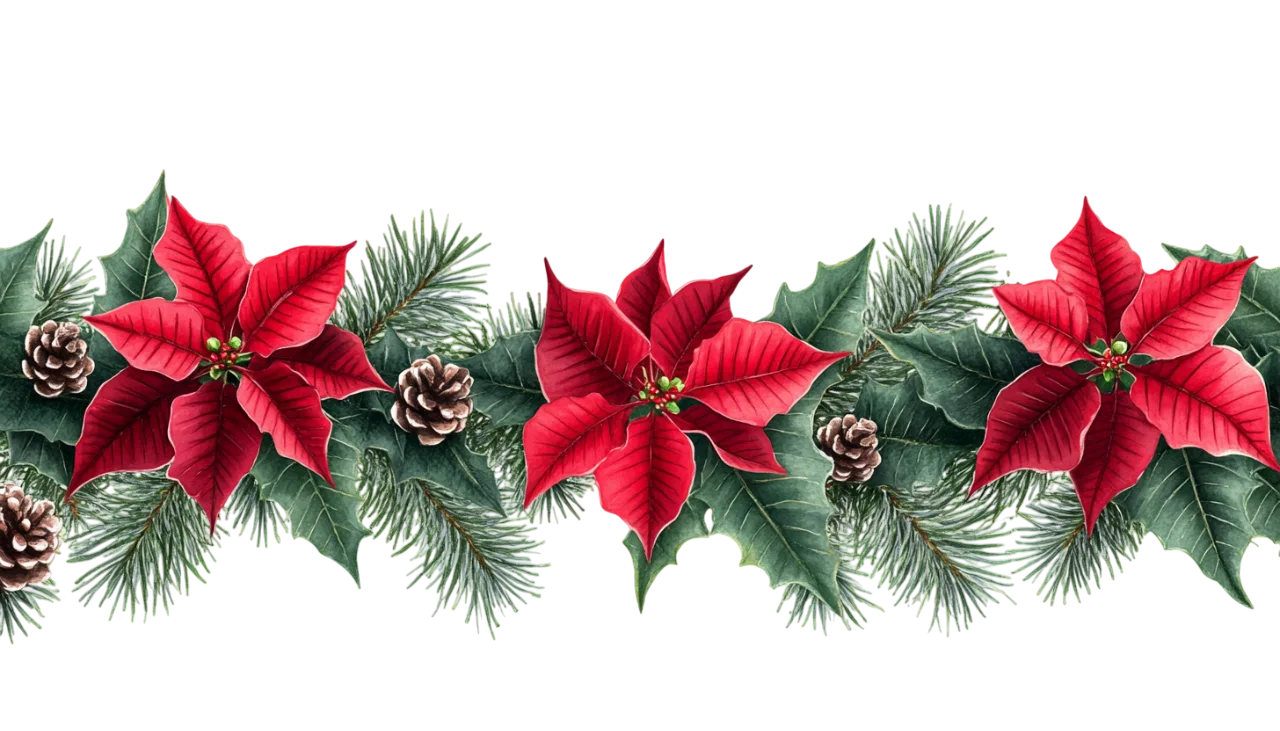 Christmas Poinsettia and Pine Garland Border Free PNG