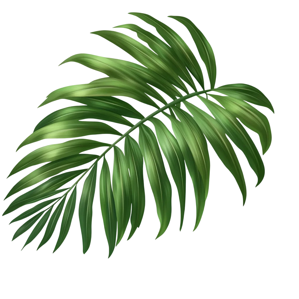 Curved Tropical Green Palm Leaf Frond Foliage Cutout Free PNG