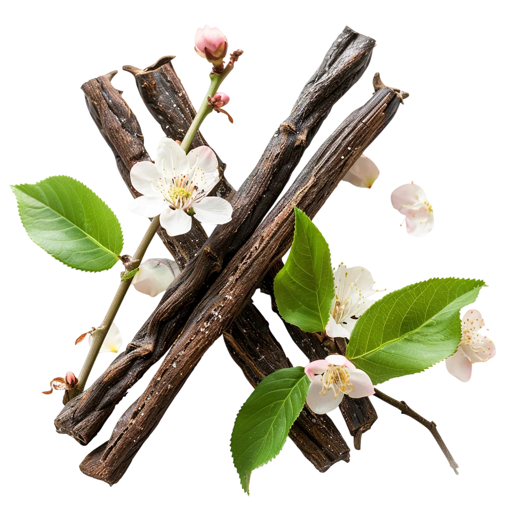 Vanilla Orchid Flowers and Vanilla Pods Free PNG