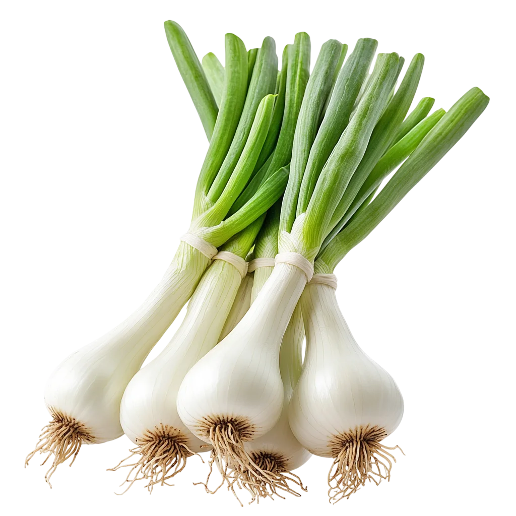 Fresh Bunch of Raw Green Spring Onions Free PNG