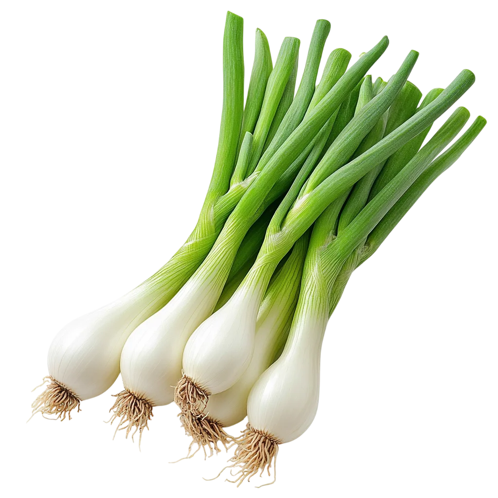 Fresh Green Scallions Spring Onions Bunch Free PNG