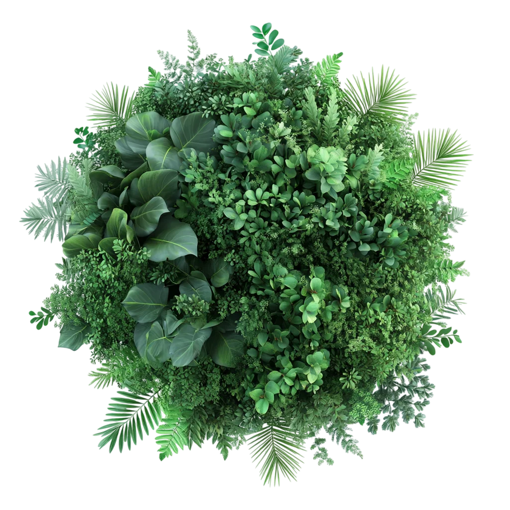 Lush Round Green Bush Shrub Topiary Free PNG