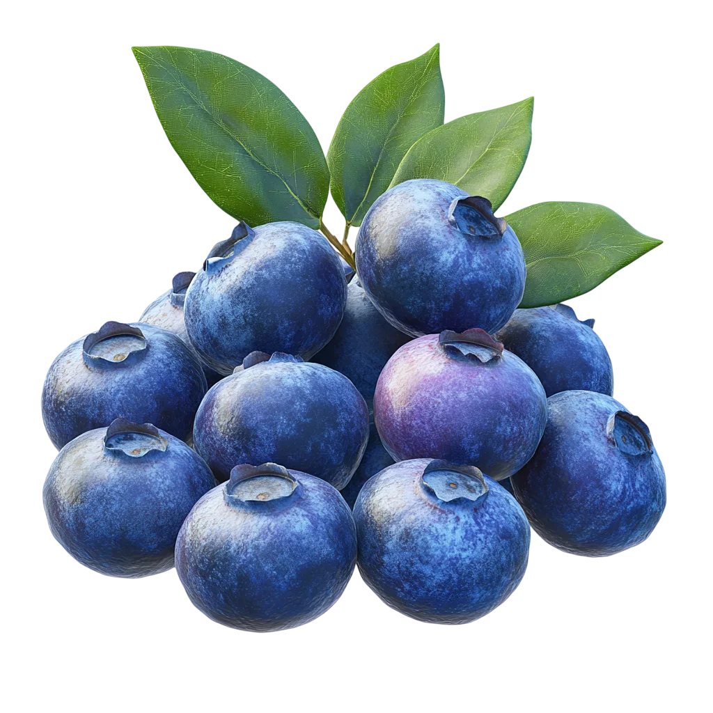 Fresh Ripe Blueberries Cluster with Leaves Free PNG
