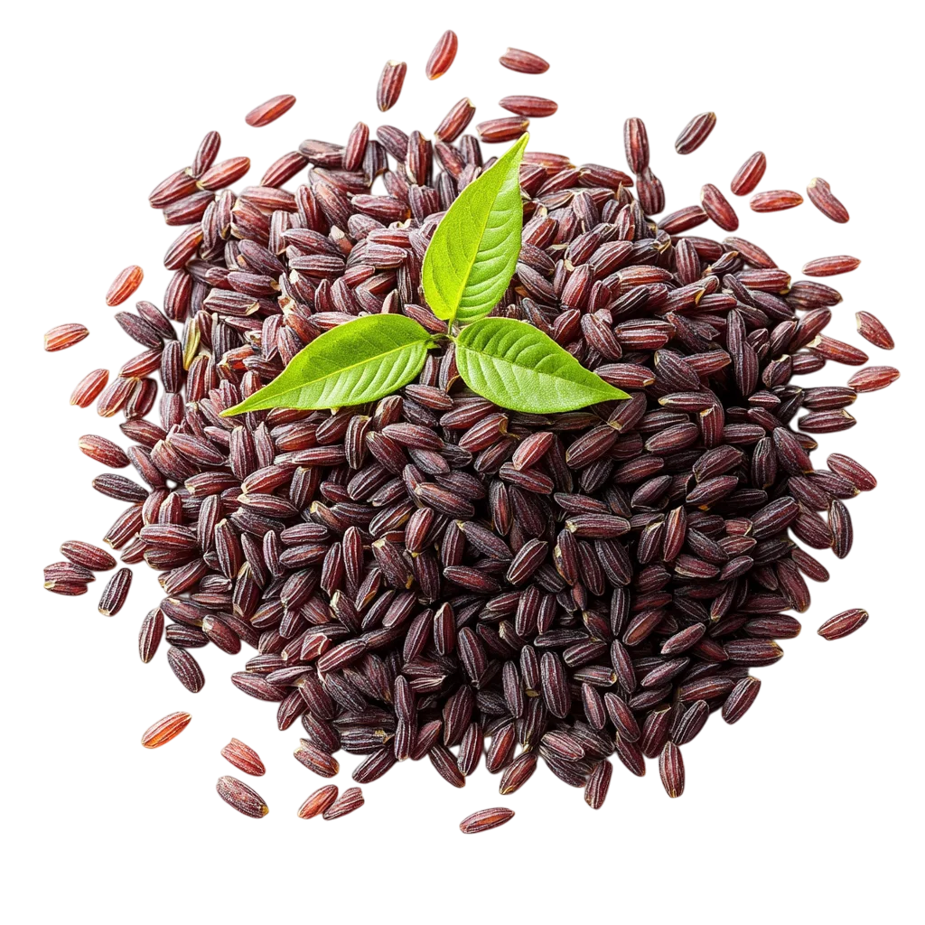 Organic Black Rice Grains with Green Leaves Free PNG