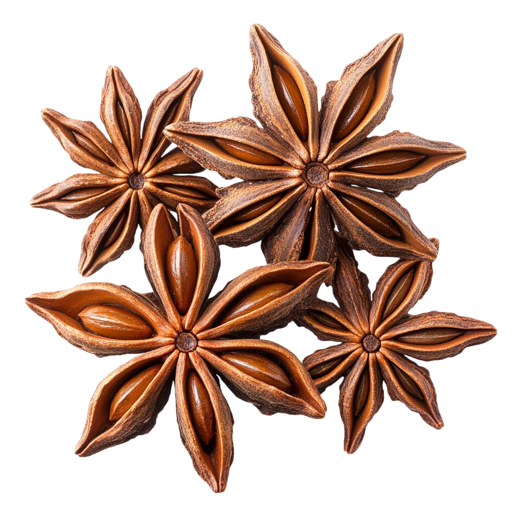 Dried Whole Star Anise Pods Culinary Spice Free PNG