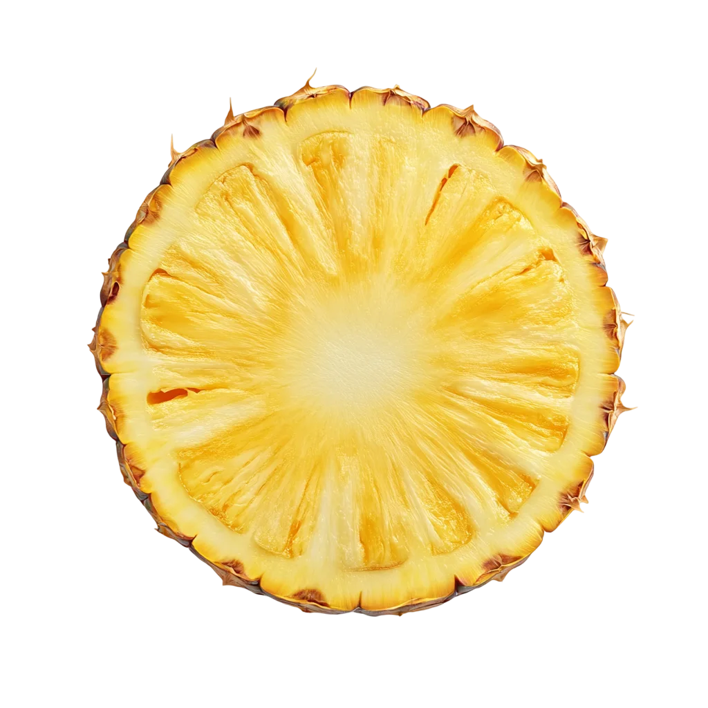 Juicy Pineapple Round Slice Wheel Free PNG Cutout