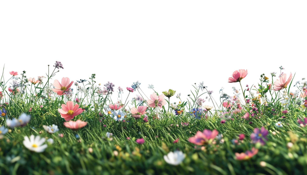 Wildflower Meadow Grass with Colorful Spring Blooms Free PNG