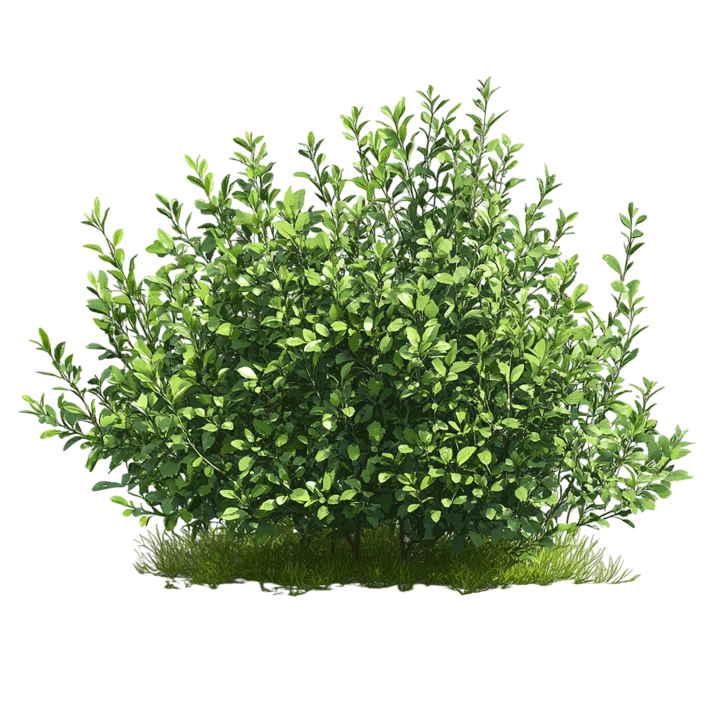 Lush Green Garden Shrub Dense Landscape Foliage Free PNG