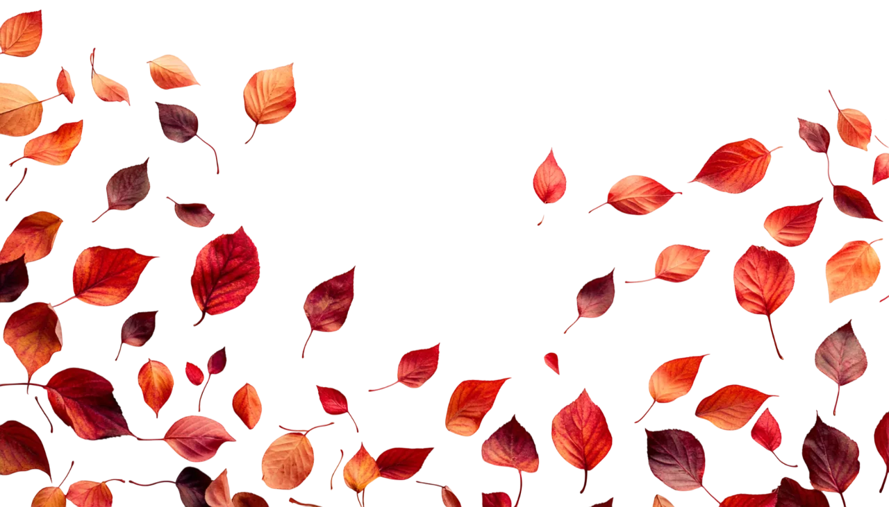 Falling Red Rose Petals Blowing Wind Effect Free PNG