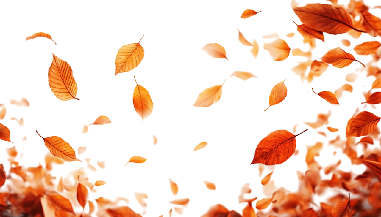 Falling Autumn Leaves Flying Foliage Wind Free PNG