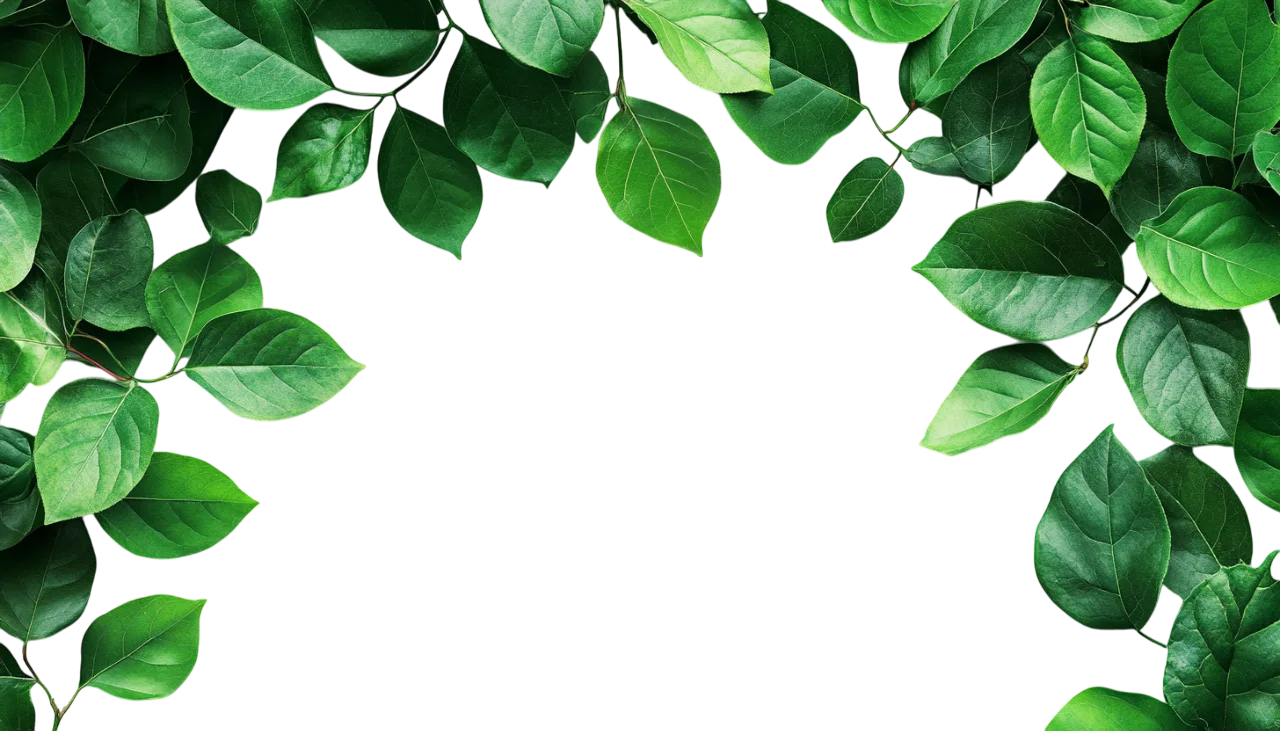 Green Leaf Tree Branches Top Arch Border Free PNG
