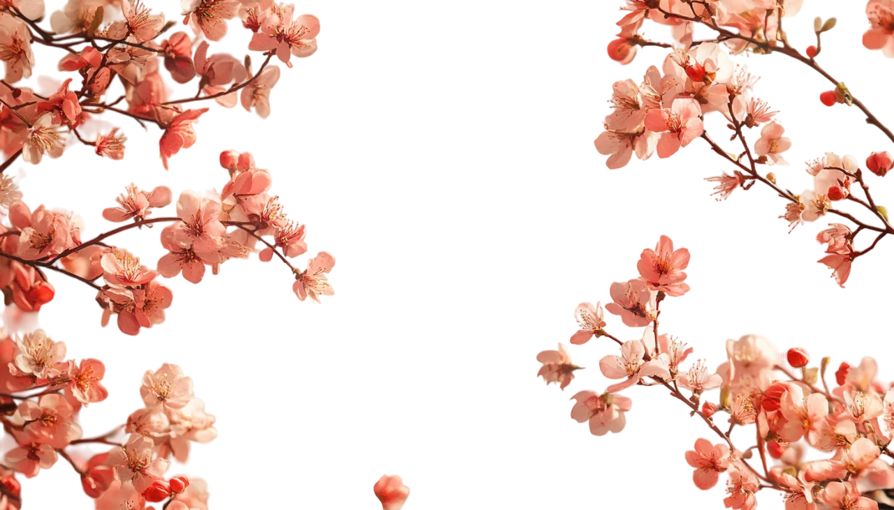 Pink Peach Blossom Branches Spring Tree Border Free PNG