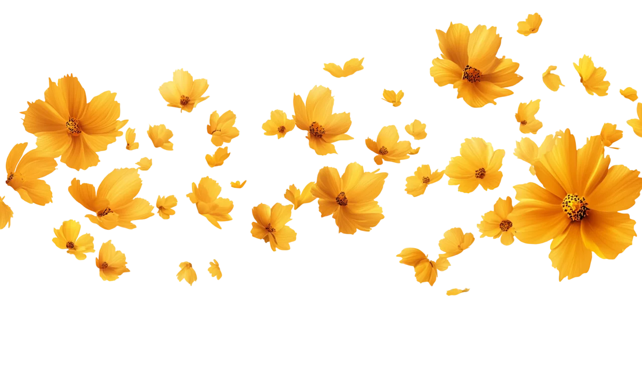 Scattered Yellow Flower Petals Falling Wind Free PNG