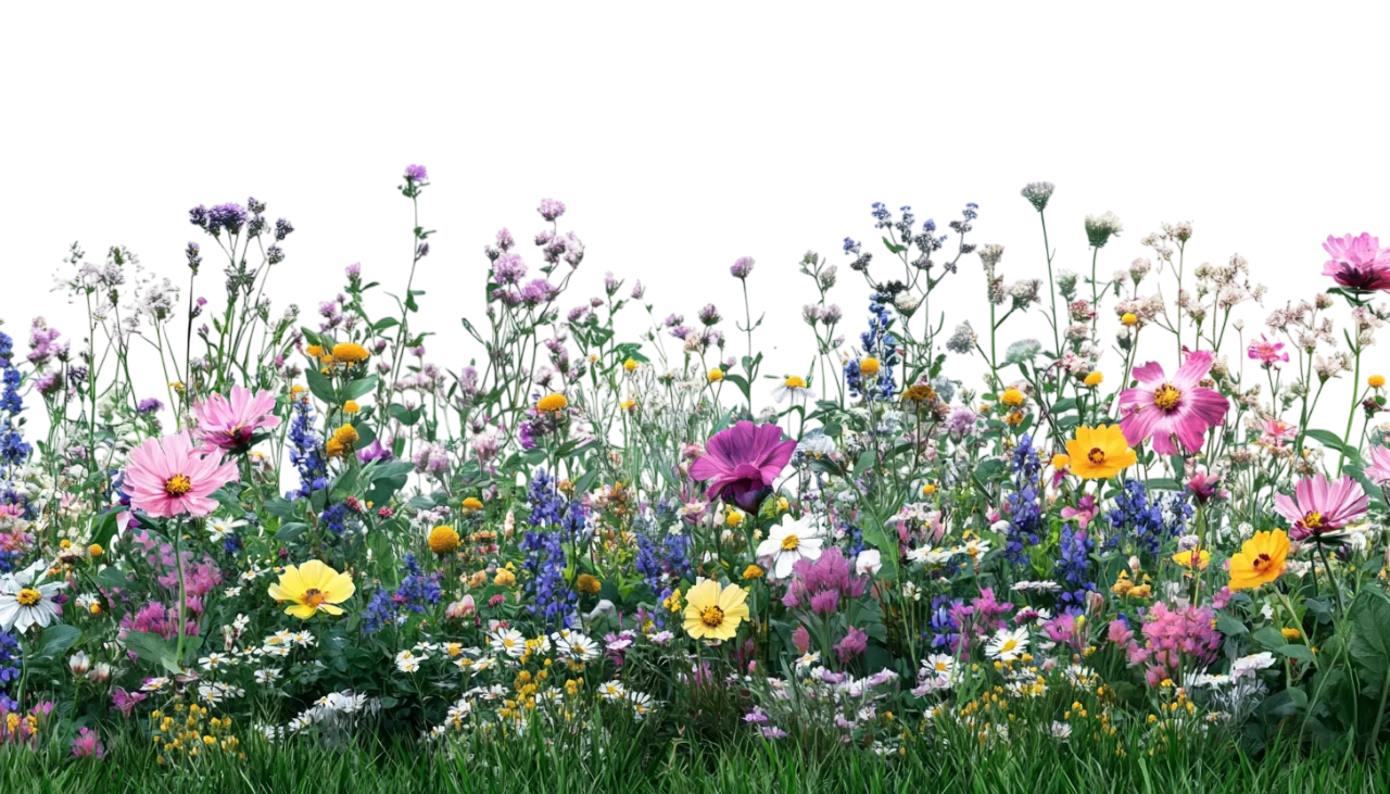 Lush Wildflower Meadow Bed with Violet Flowers Free PNG