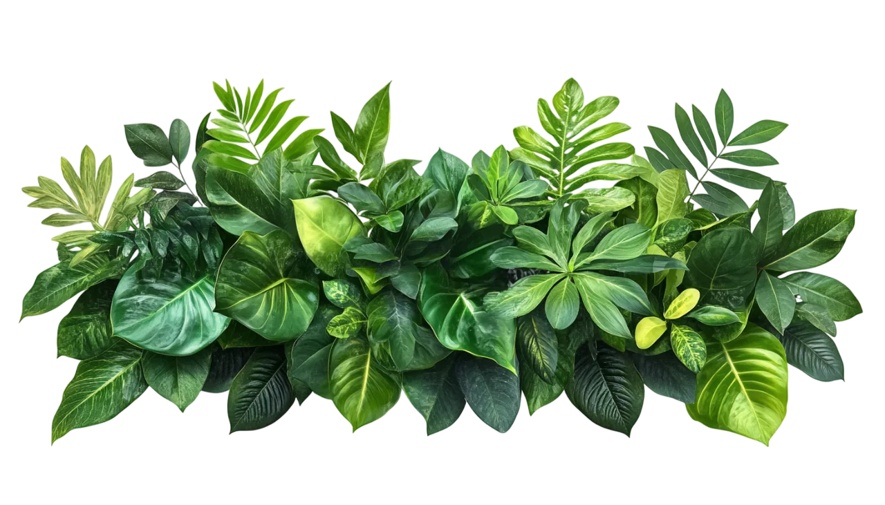 Lush Green Tropical Leaves Hanging Garland Free PNG