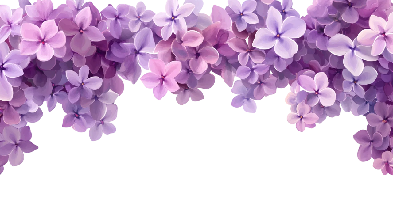 Hanging Purple Lilac Flowers Floral Border Free PNG