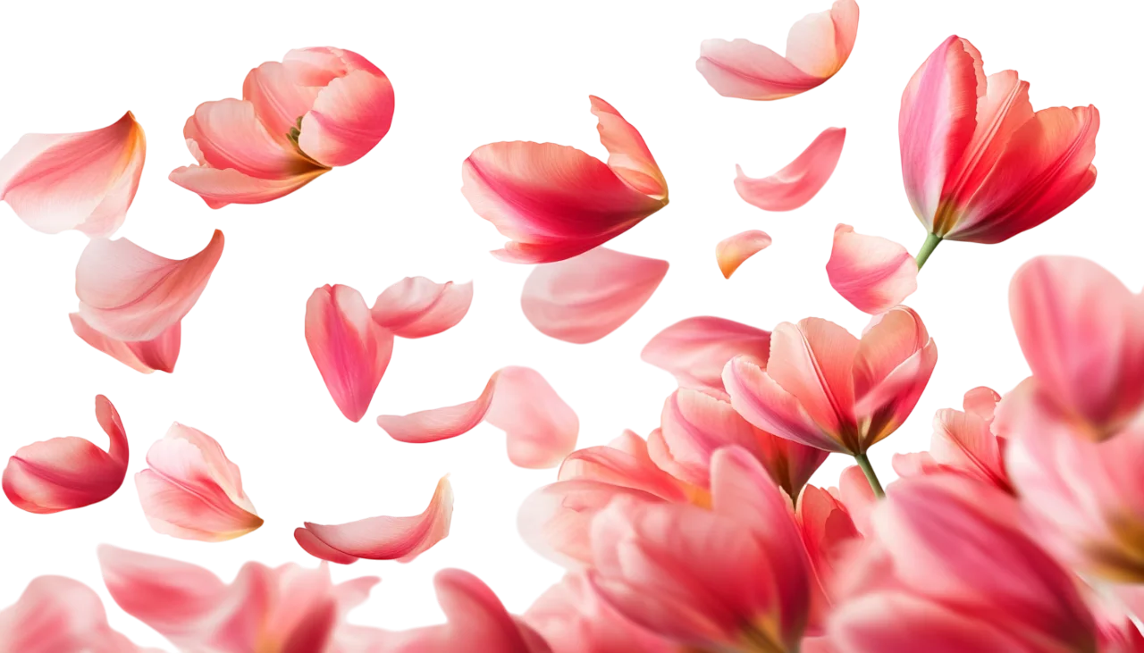 Swirling Pink Flower Petals Falling Wind Free PNG