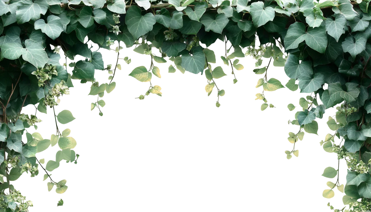 Hanging Green Vine Foliage Ceiling Arch Garland Free PNG