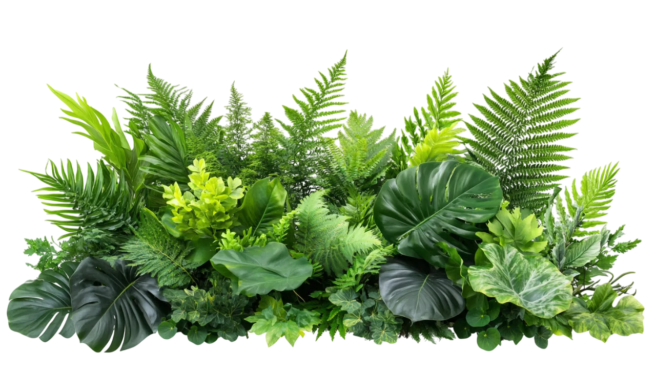 Lush Tropical Green Bush Foliage Plant Border Free PNG