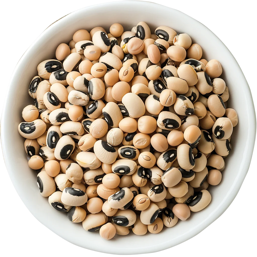 Bowl of Dried Black Eyed Peas Free PNG Cutout