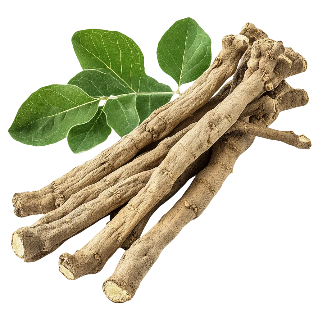 Ashwagandha Roots and Leaves on Transparent Background Free PNG