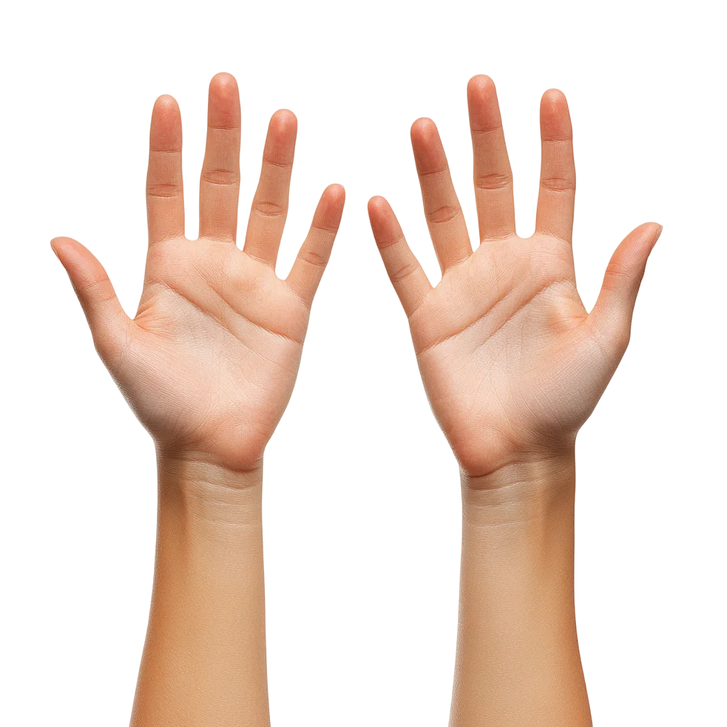 Two Open Palms with Fingers Spread | Free PNG