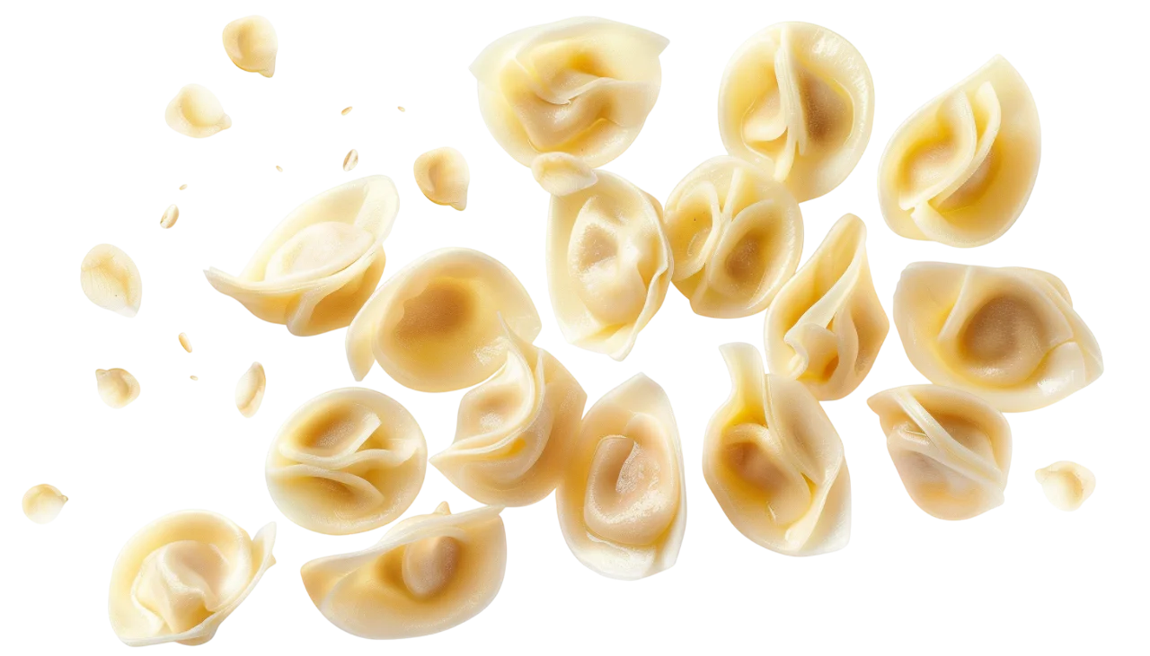 Pale Golden Tortellini Pieces on Black | Free PNG