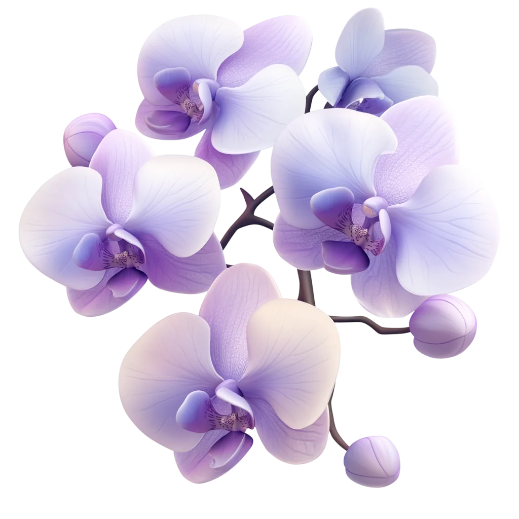 Lavender and White Phalaenopsis Orchid Branch Free PNG