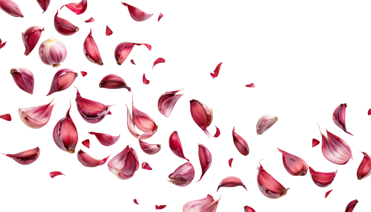 Scattered Red Onion Layers and Peels Free PNG