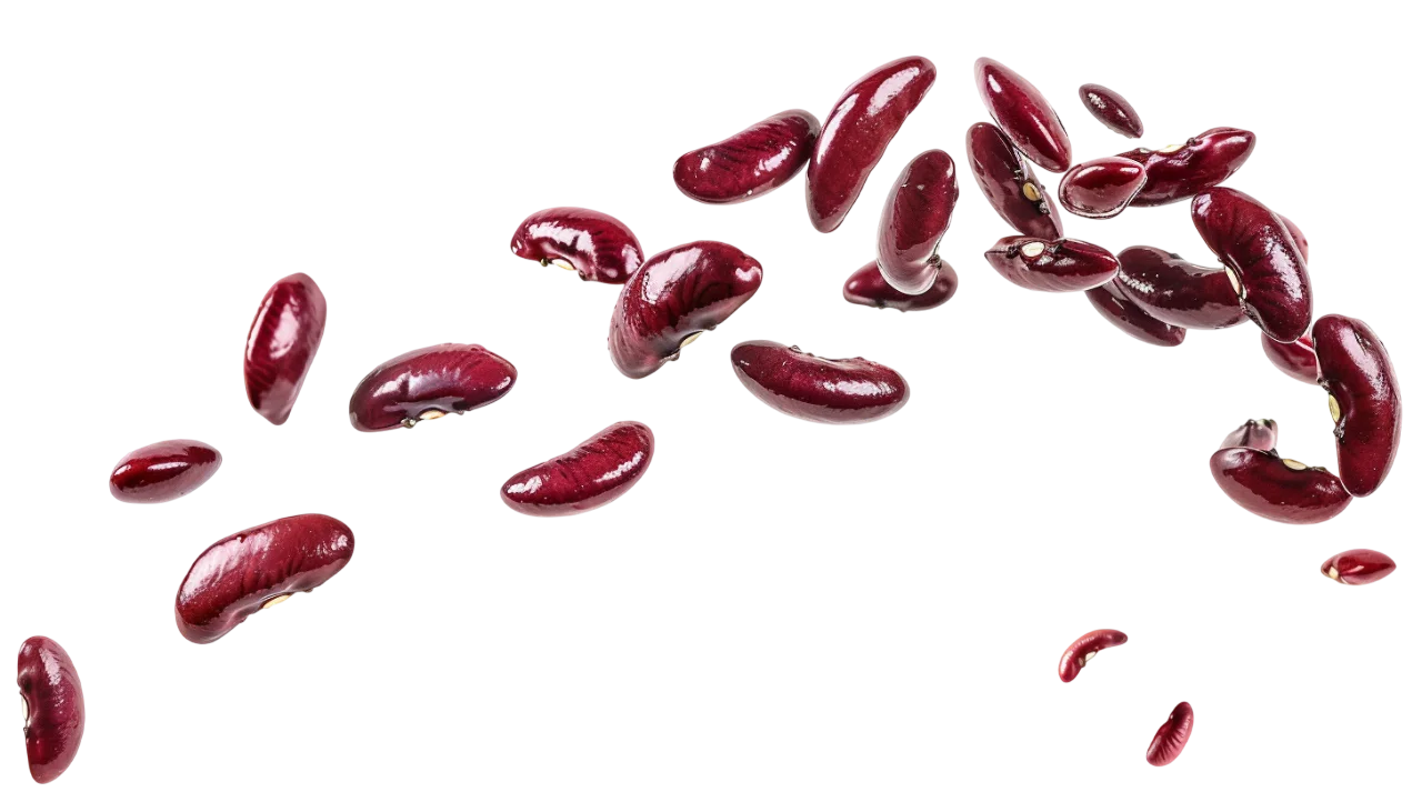Floating Red Kidney Beans in a Circular Arrangement Free PNG