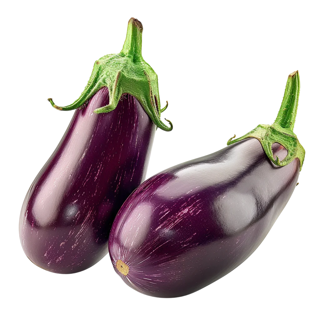 Two Glossy Purple Eggplants with Green Stems - Free PNG