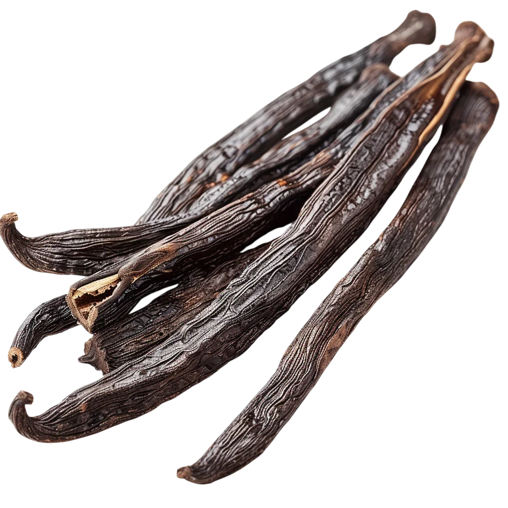 Dark Vanilla Bean Pods Free PNG