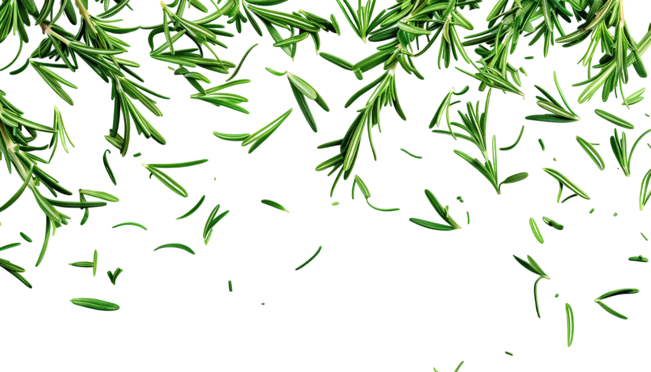 Scattered Rosemary Leaves Free PNG