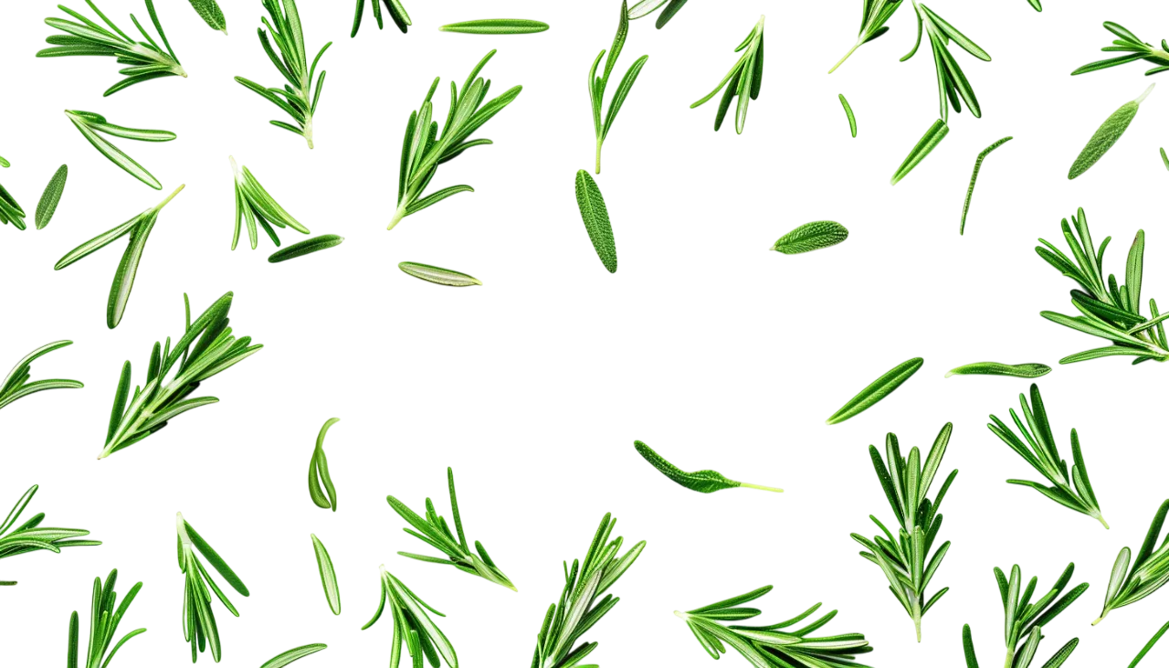 Scattered Rosemary Sprigs Free PNG
