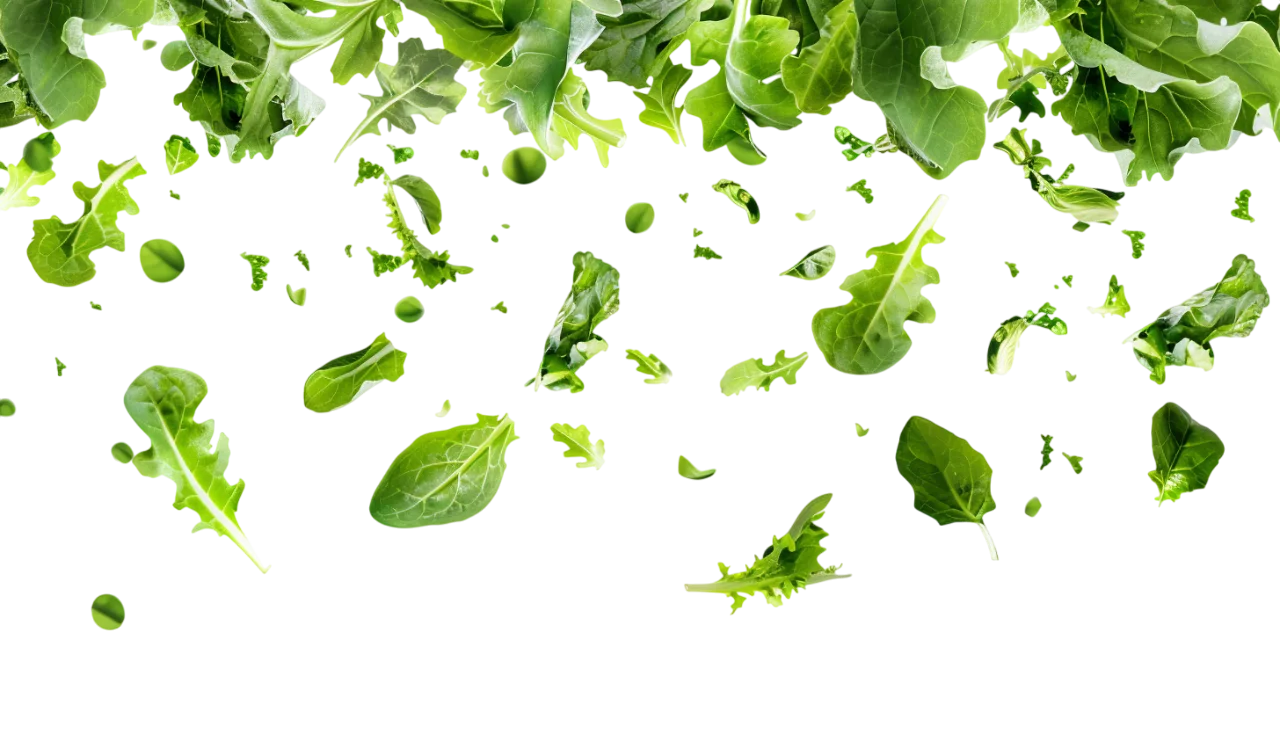 Falling Green Salad Leaves Free PNG
