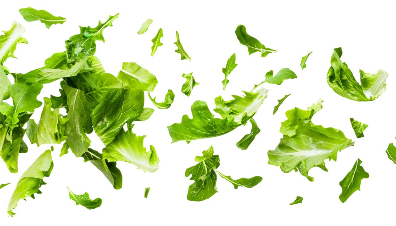 Floating Green Lettuce Leaves Free PNG