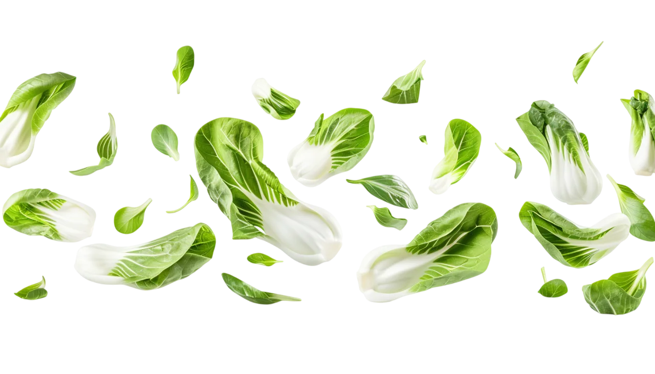 Floating Bok Choy Heads and Leaves Free PNG