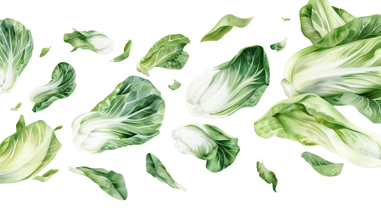 Floating Bok Choy Heads and Leaves – Free PNG