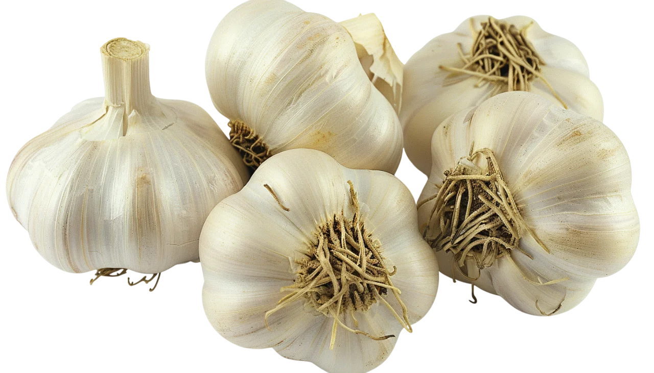 Whole Garlic Bulbs with Papery Skins – Free PNG